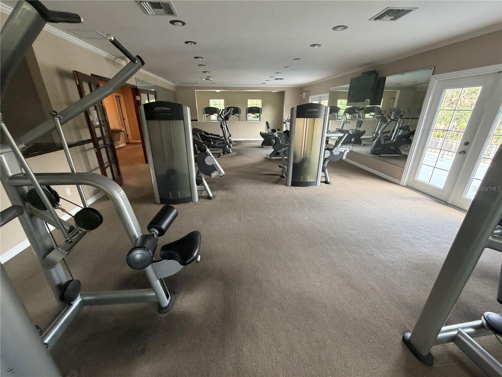 10335 CARROLLWOOD LN #116, TAMPA, FL, 33618