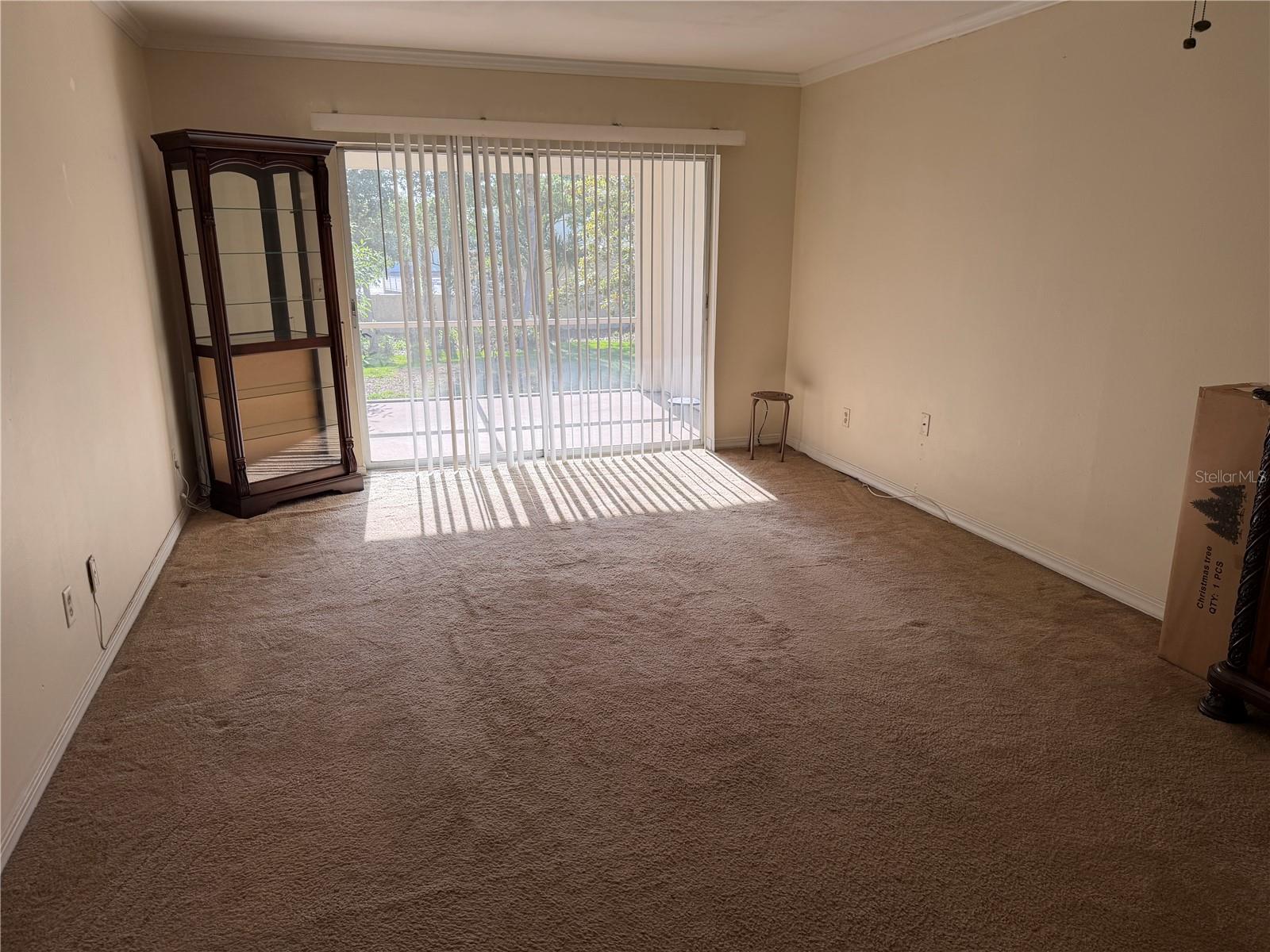 10335 CARROLLWOOD LN #116, TAMPA, FL, 33618