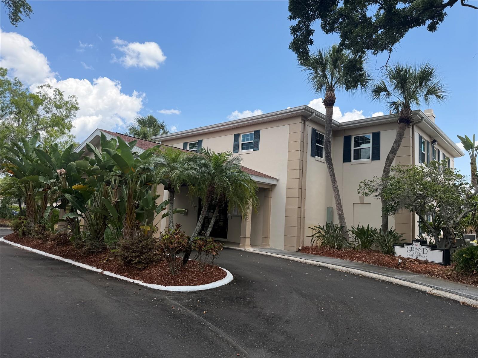 10335 CARROLLWOOD LN #116, TAMPA, FL, 33618