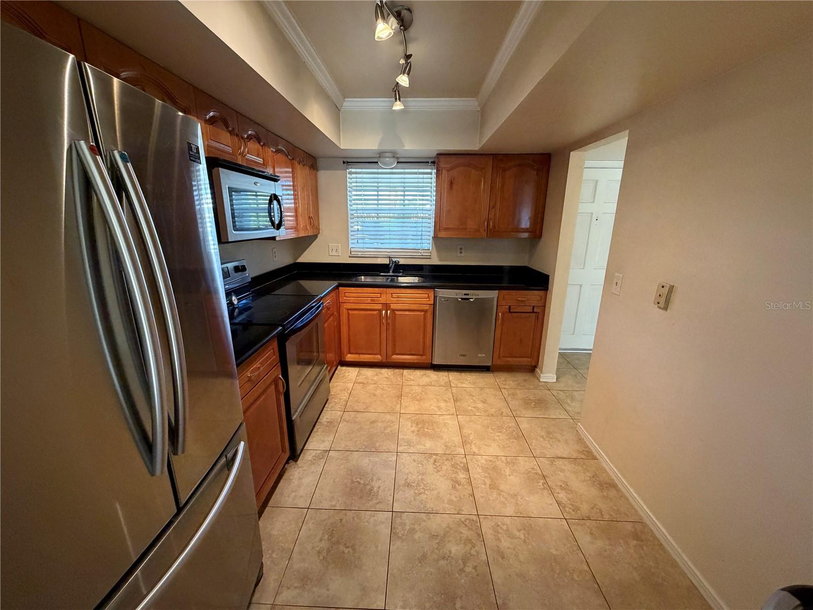 10335 CARROLLWOOD LN #116, TAMPA, FL, 33618