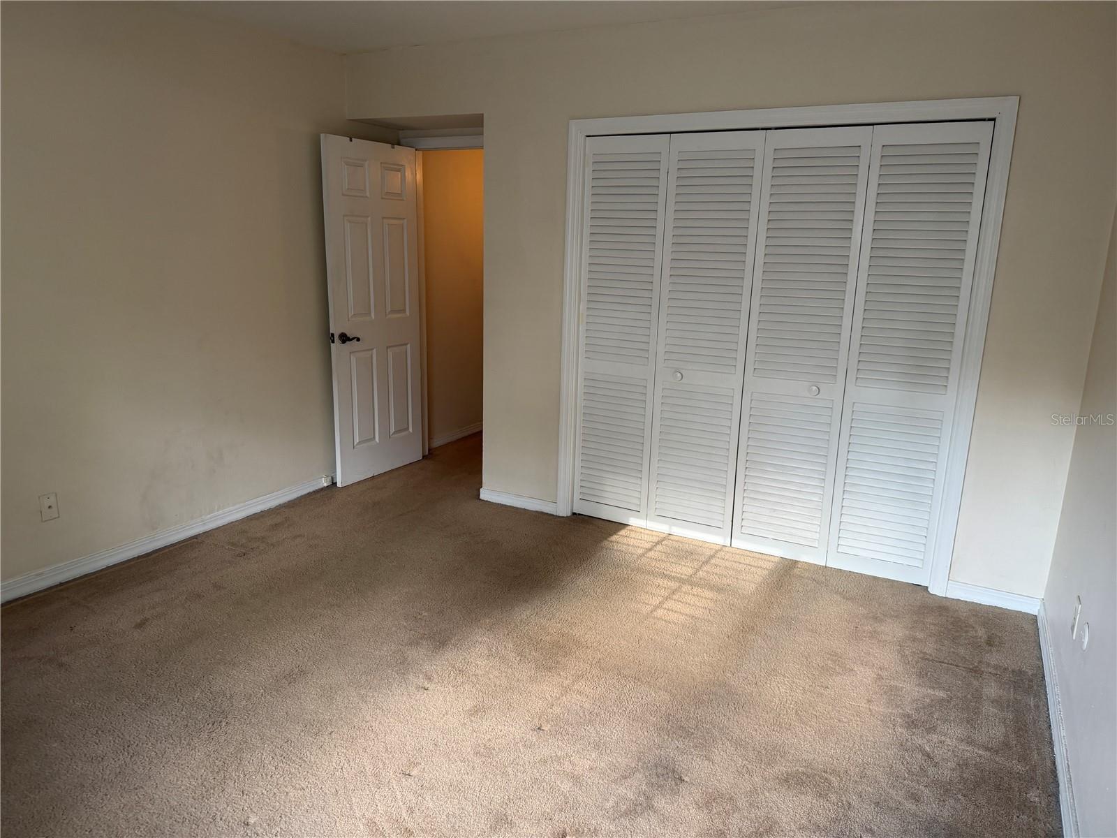 10335 CARROLLWOOD LN #116, TAMPA, FL, 33618