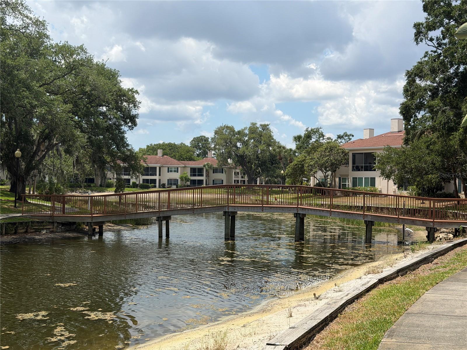 10335 CARROLLWOOD LN #116, TAMPA, FL, 33618