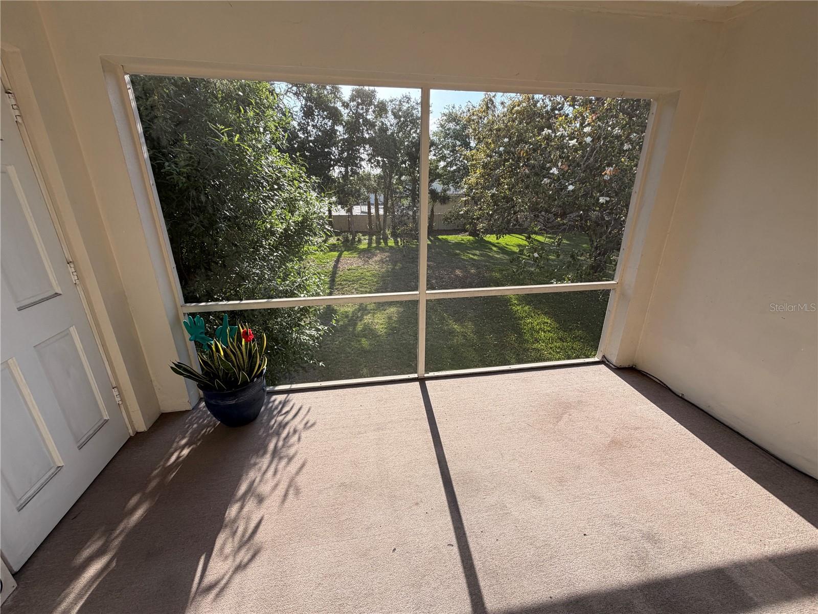 10335 CARROLLWOOD LN #116, TAMPA, FL, 33618