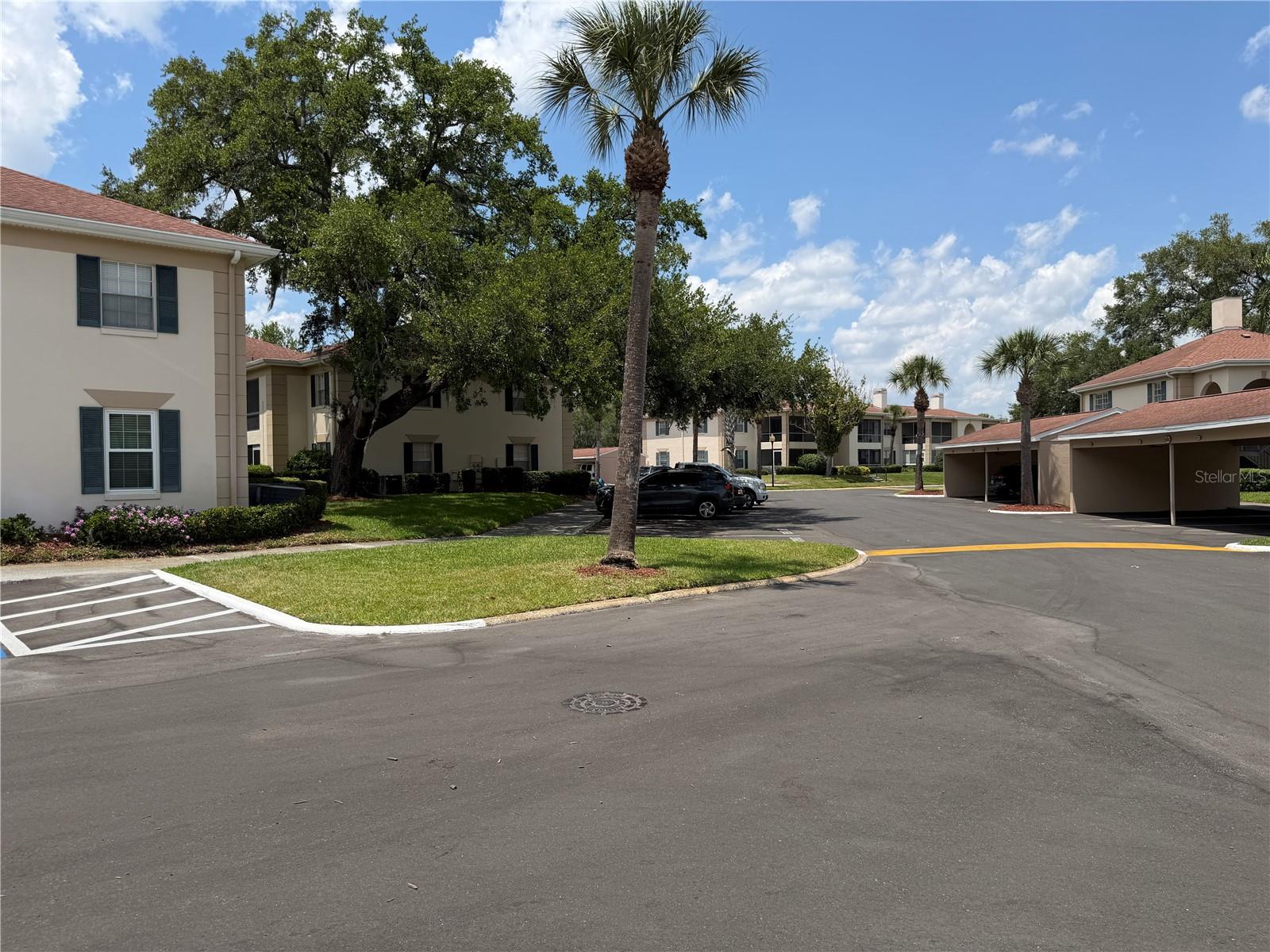 10335 CARROLLWOOD LN #116, TAMPA, FL, 33618