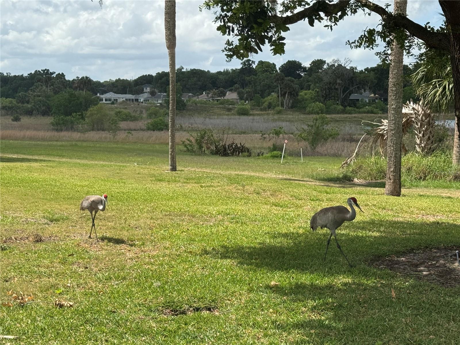 1106 VILLA LN #81, APOPKA, FL, 32712