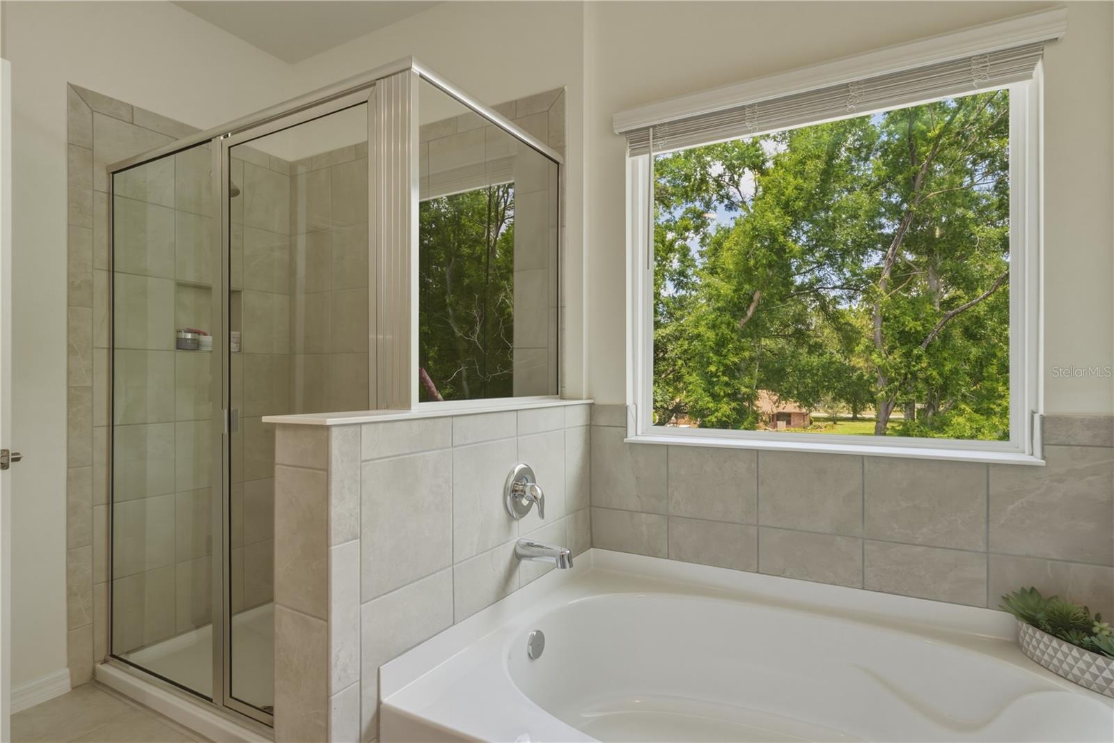 17664 NW 173RD RD, ALACHUA, FL, 32615