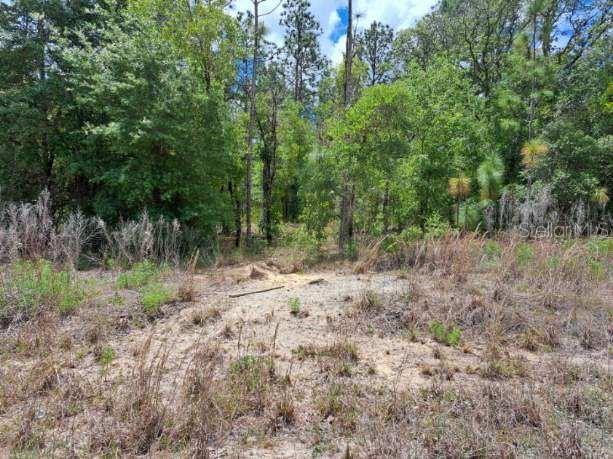 SW 89 ST, DUNNELLON, FL, 34432