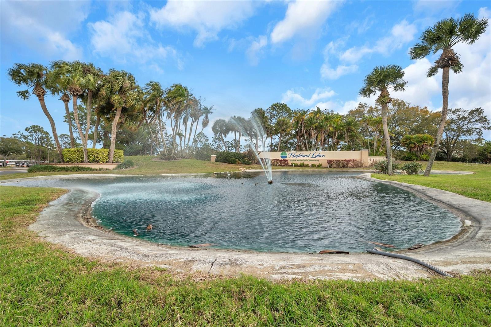 1658 MACDONNELL CT, PALM HARBOR, FL, 34684