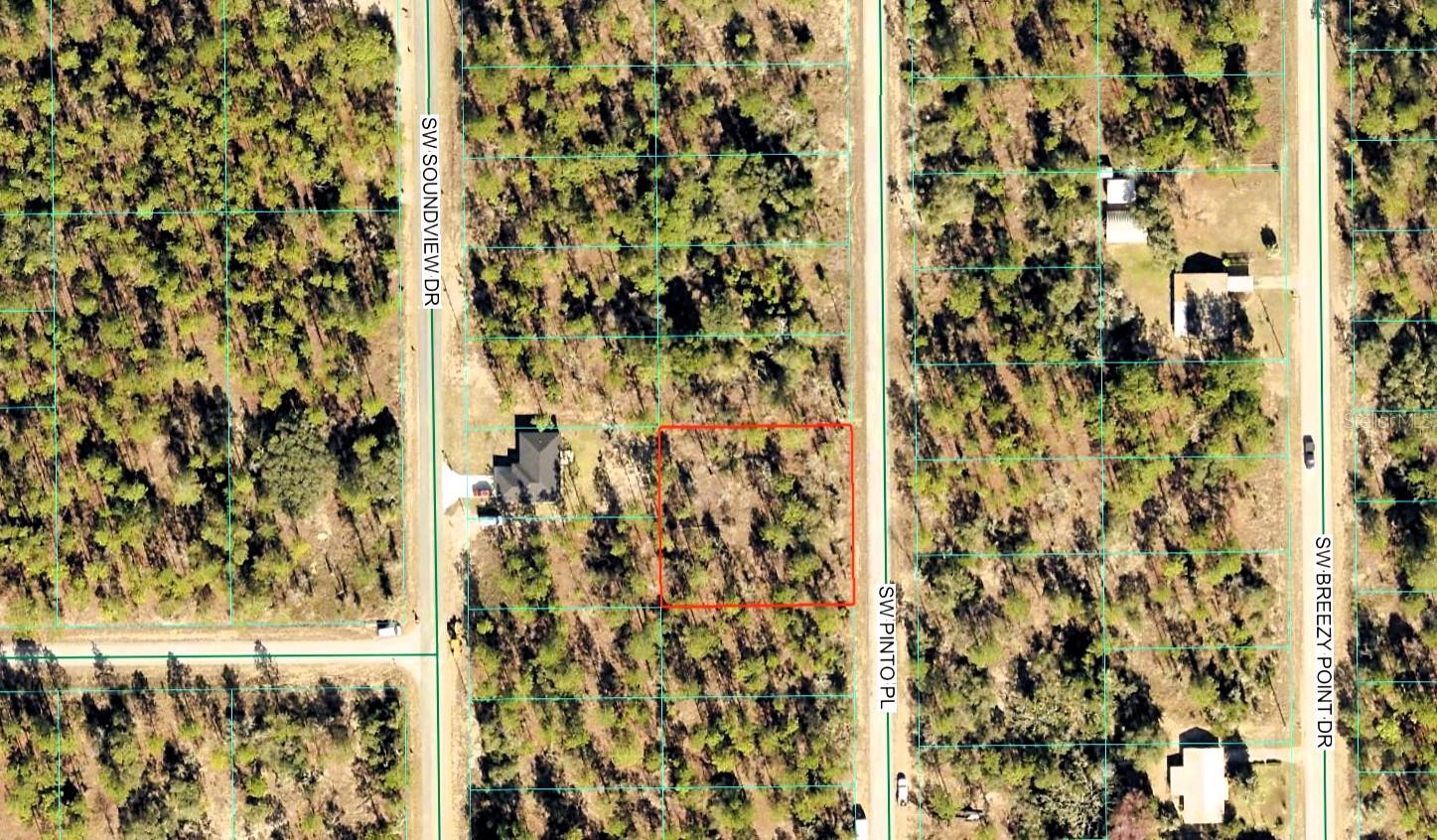 SW PINTO PL, DUNNELLON, FL, 34431