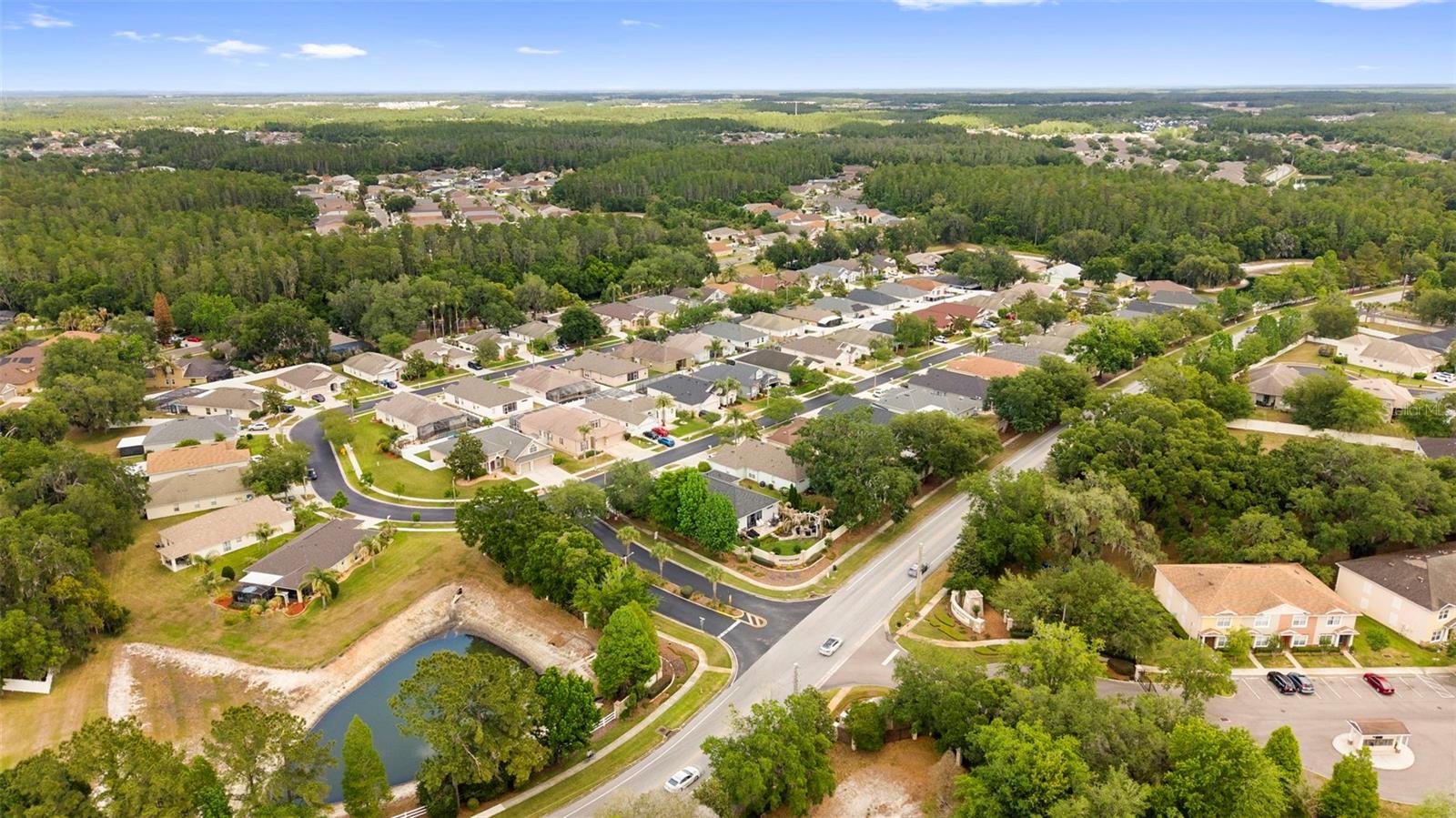 30709 LANESBOROUGH CIR, WESLEY CHAPEL, FL, 33543