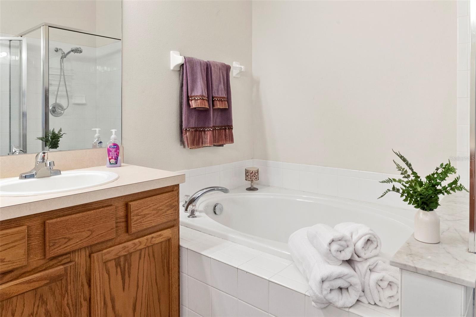 30709 LANESBOROUGH CIR, WESLEY CHAPEL, FL, 33543