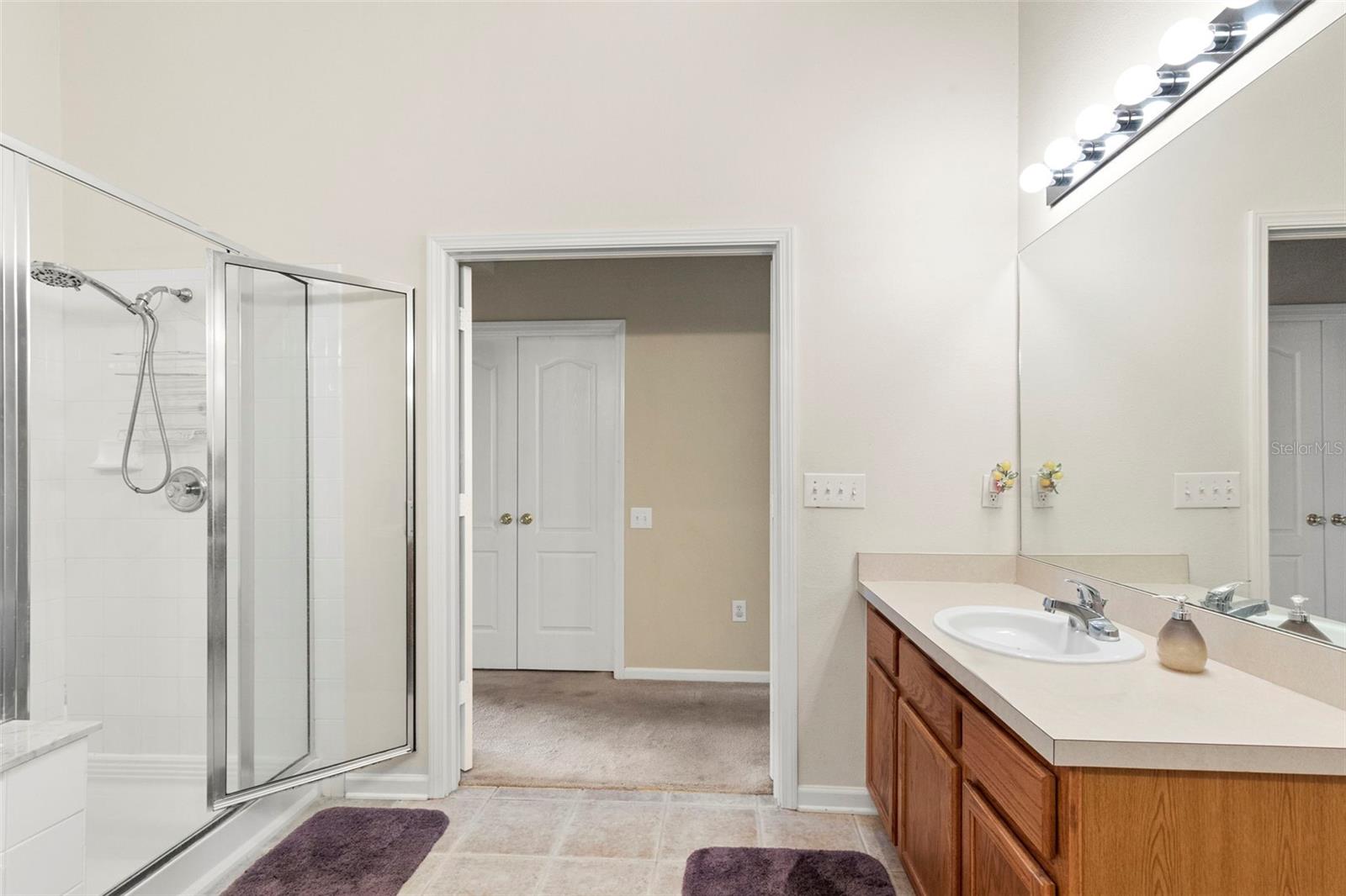 30709 LANESBOROUGH CIR, WESLEY CHAPEL, FL, 33543
