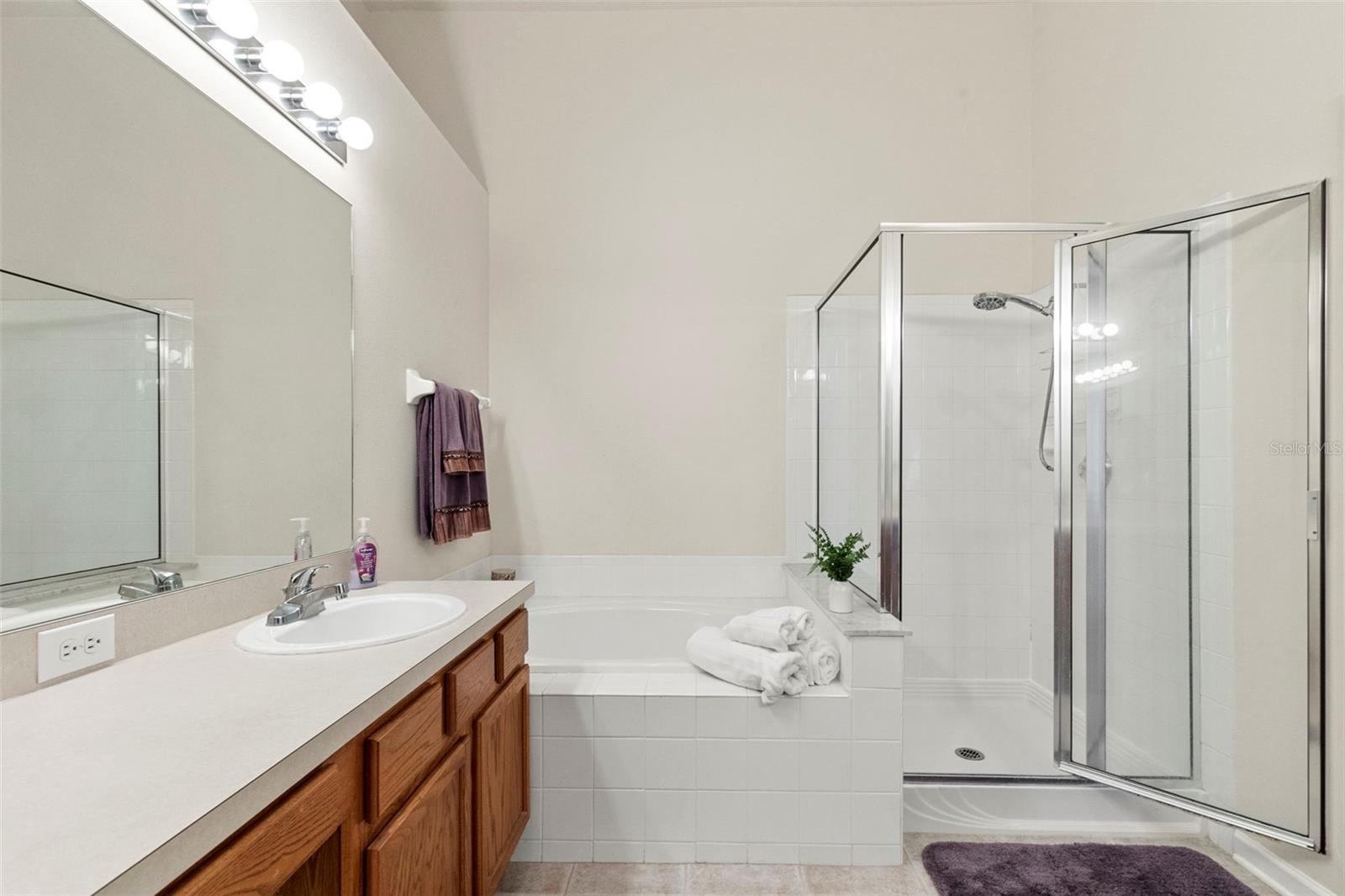 30709 LANESBOROUGH CIR, WESLEY CHAPEL, FL, 33543