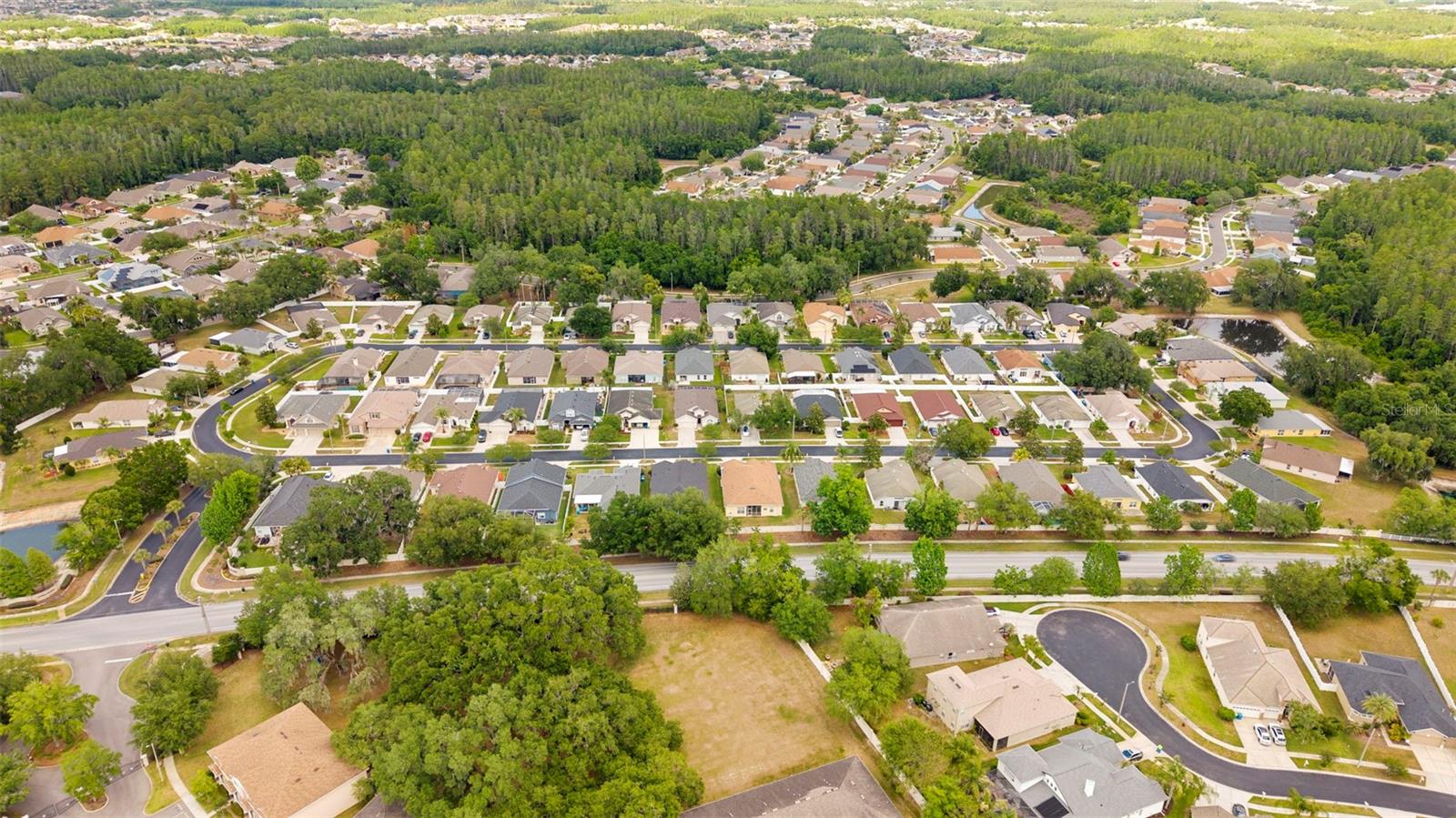 30709 LANESBOROUGH CIR, WESLEY CHAPEL, FL, 33543