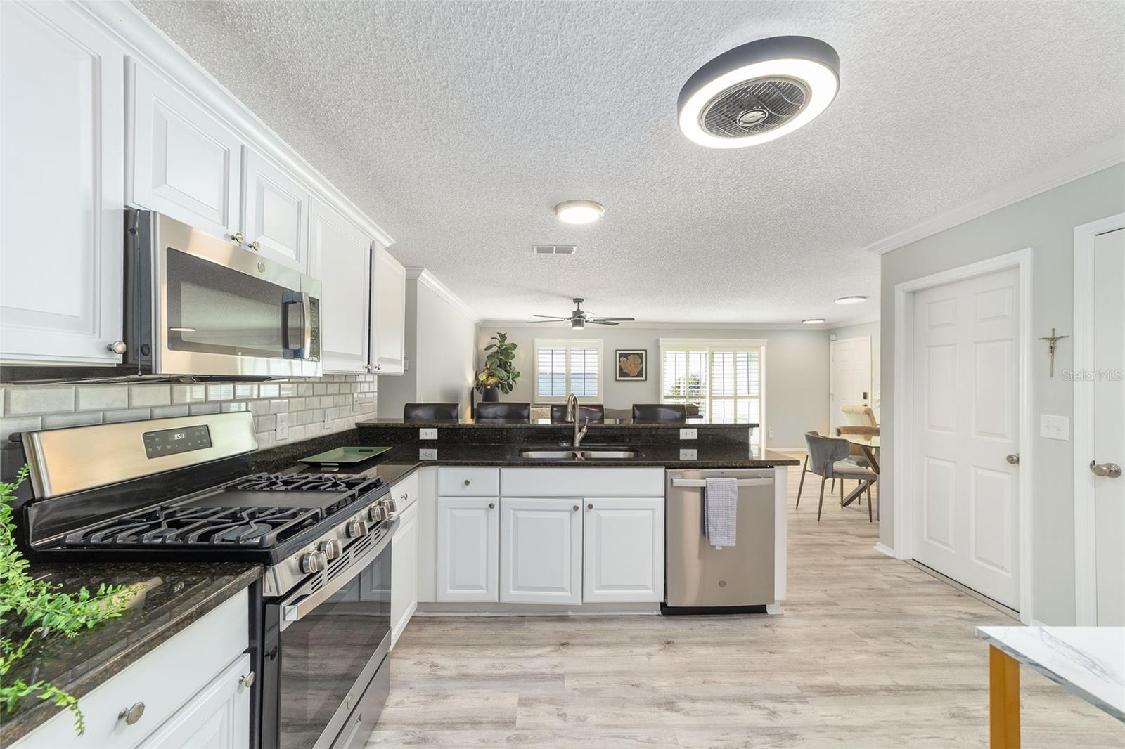 3309 RIVERTON RD, THE VILLAGES, FL, 32162