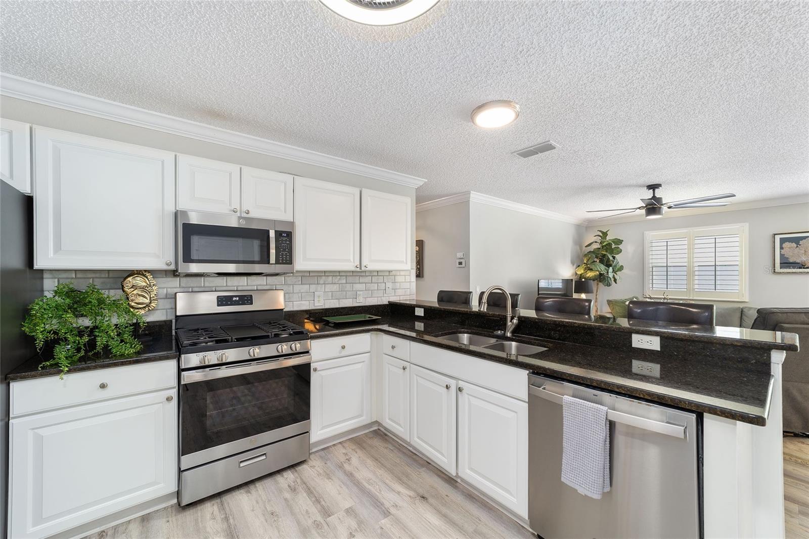 3309 RIVERTON RD, THE VILLAGES, FL, 32162