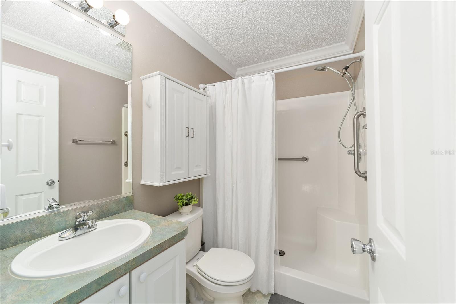 3309 RIVERTON RD, THE VILLAGES, FL, 32162