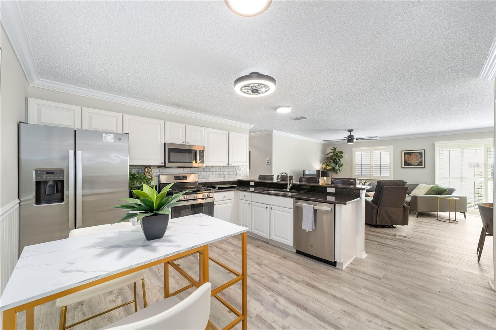 3309 RIVERTON RD, THE VILLAGES, FL, 32162