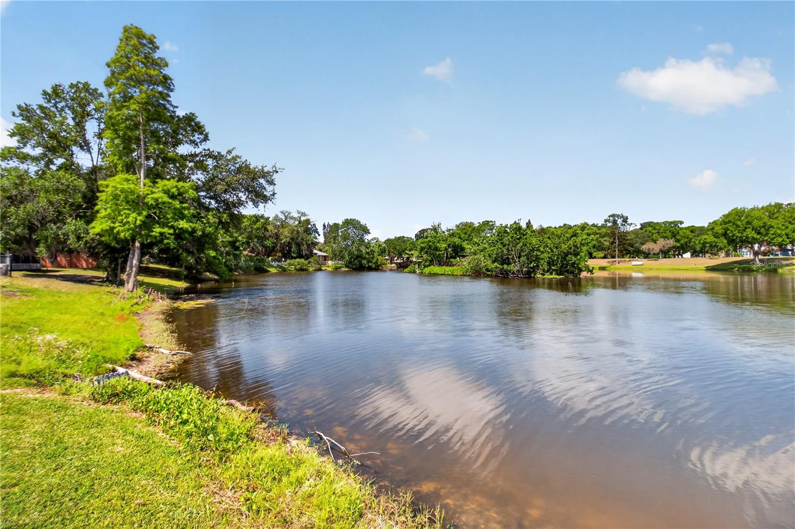 23311 DOVER DR, LAND O LAKES, FL, 34639