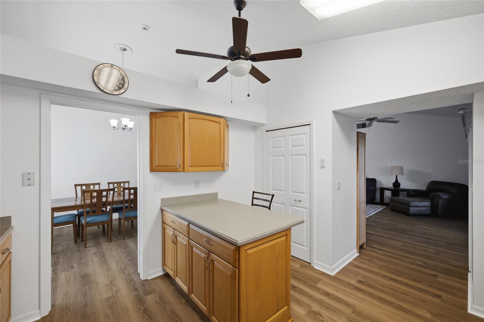 1918 BLUE SAGE CT, BRANDON, FL, 33511