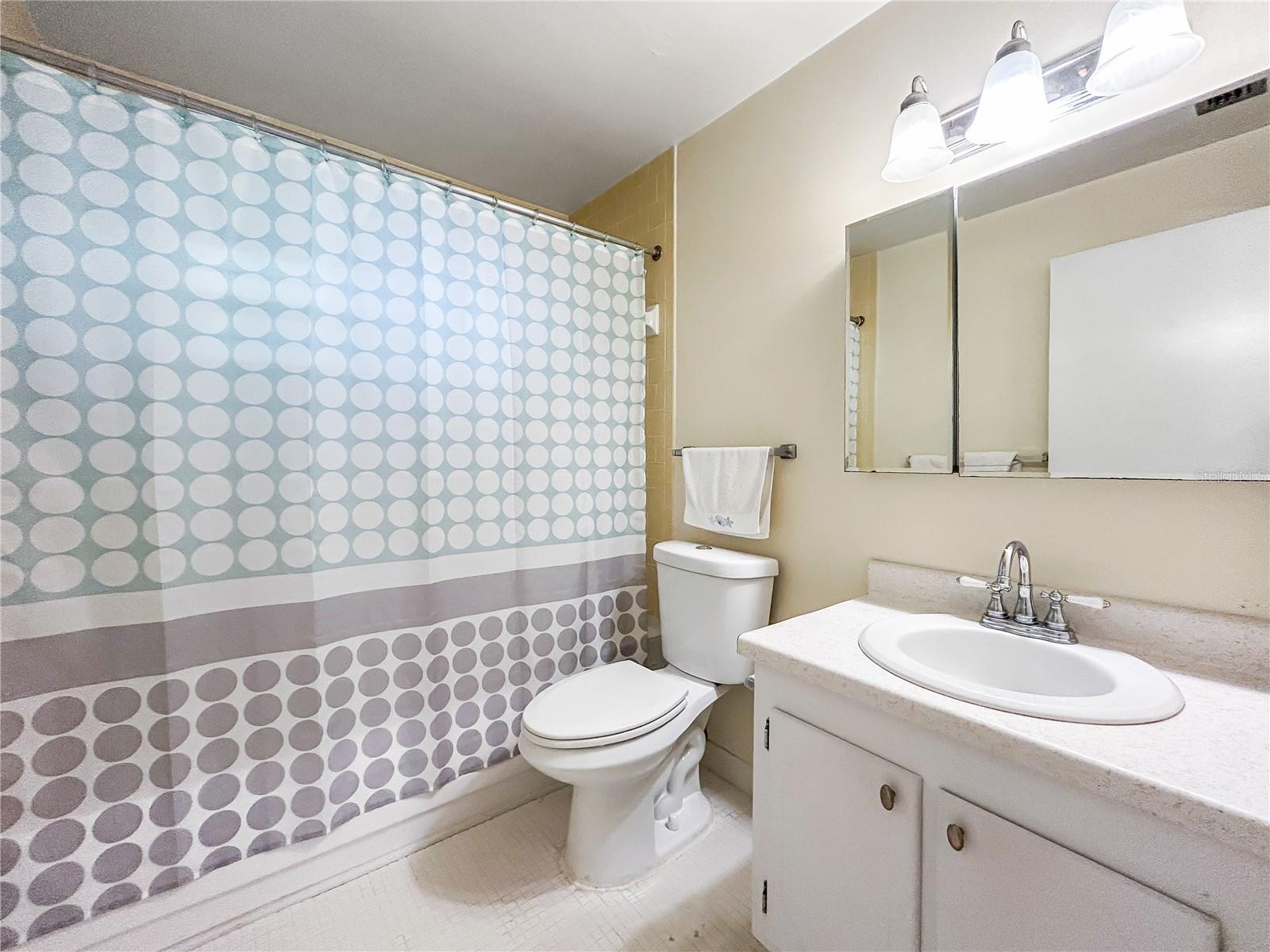 1706 BELLEAIR FOREST DR #252, BELLEAIR, FL, 33756