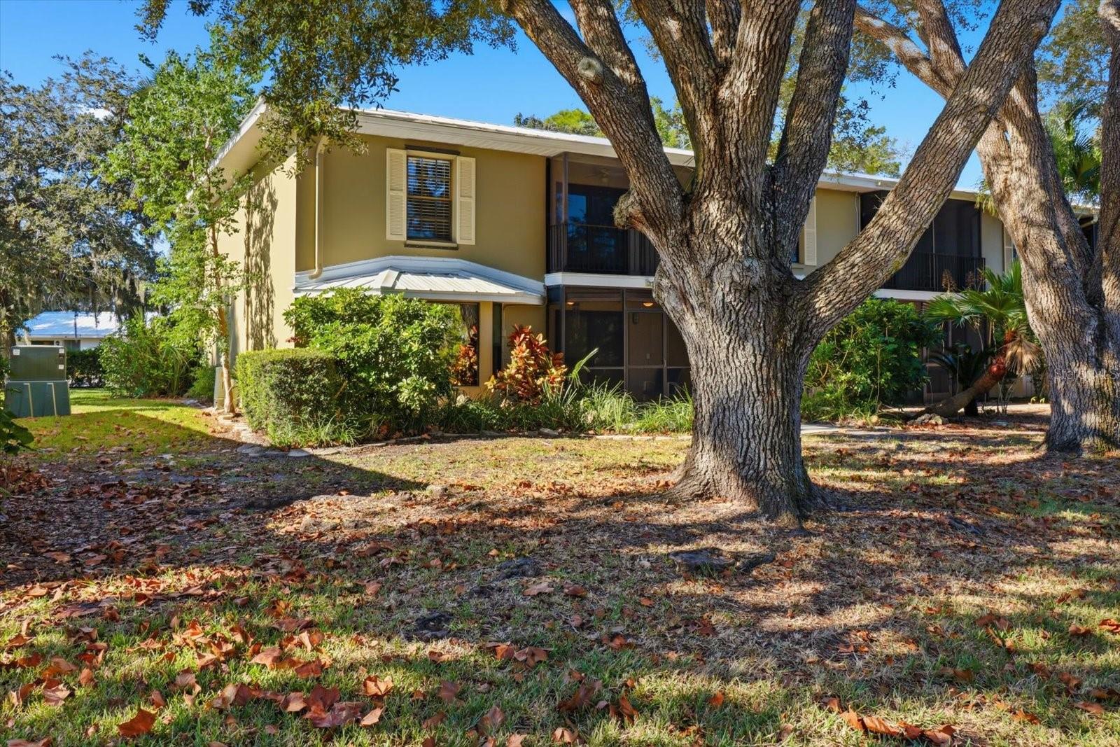 11328 W BAYSHORE DR, CRYSTAL RIVER, FL, 34429