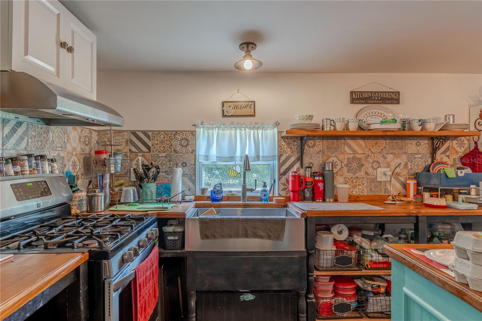 4536 EMPIRE CHURCH RD, GROVELAND, FL, 34736