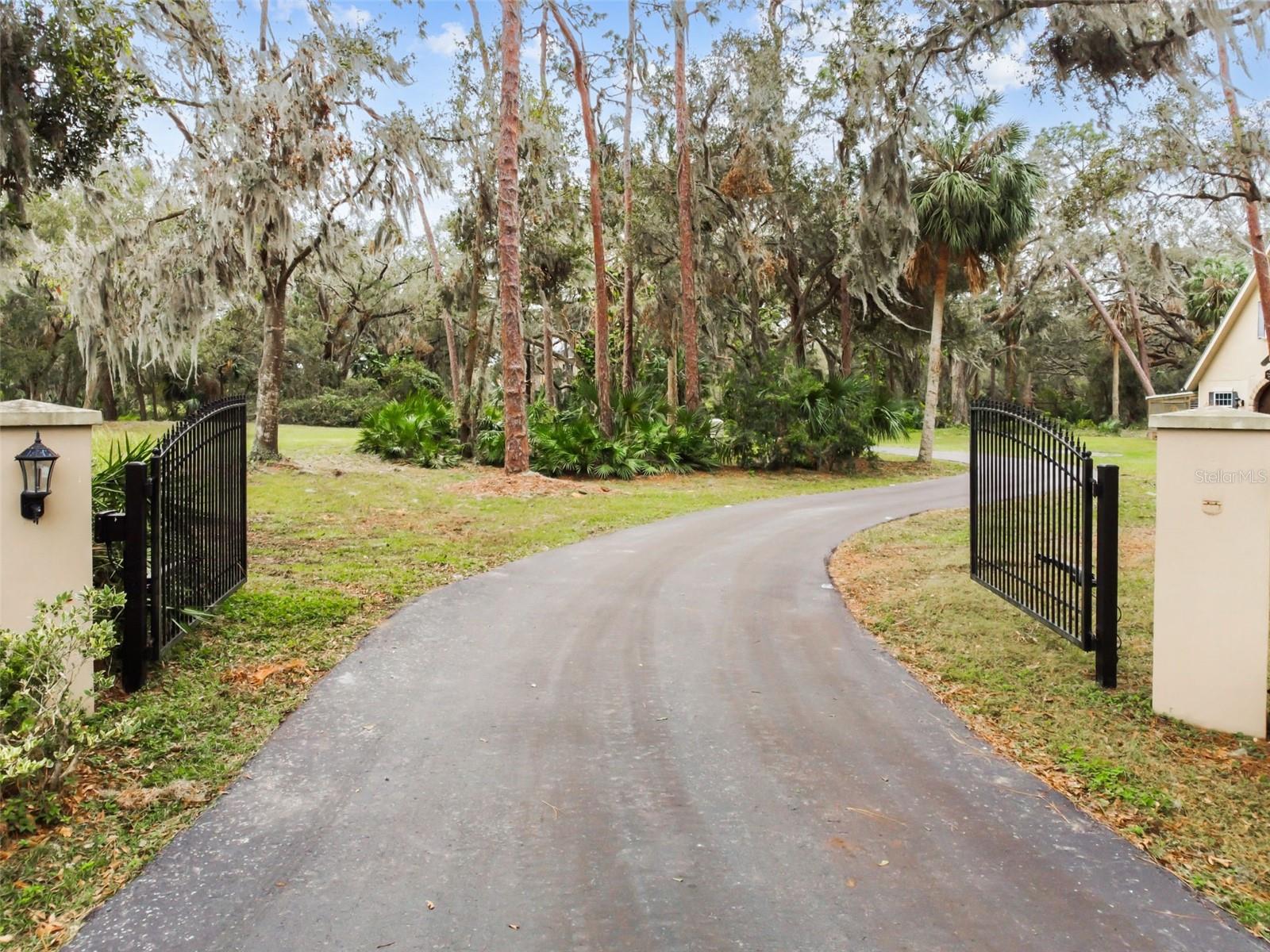 12709 MANNHURST OAK LN, LITHIA, FL, 33547