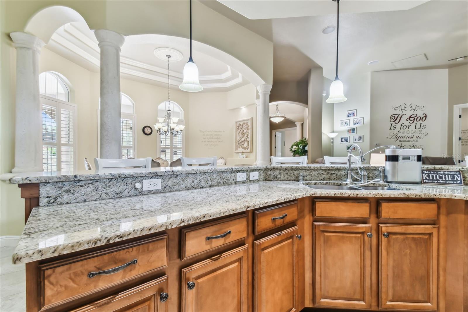 12709 MANNHURST OAK LN, LITHIA, FL, 33547