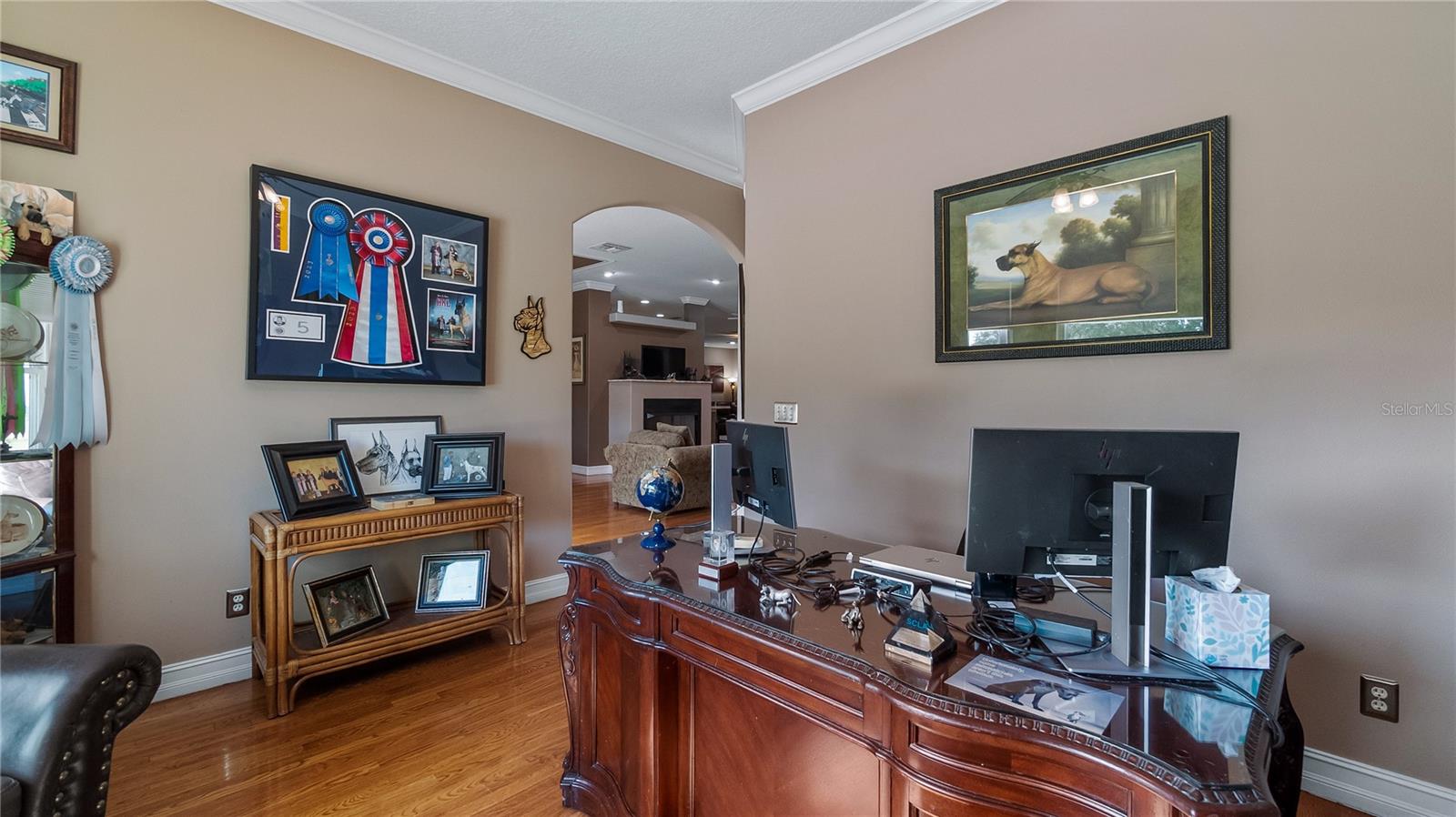 21328 MARSH VIEW CT, CLERMONT, FL, 34715