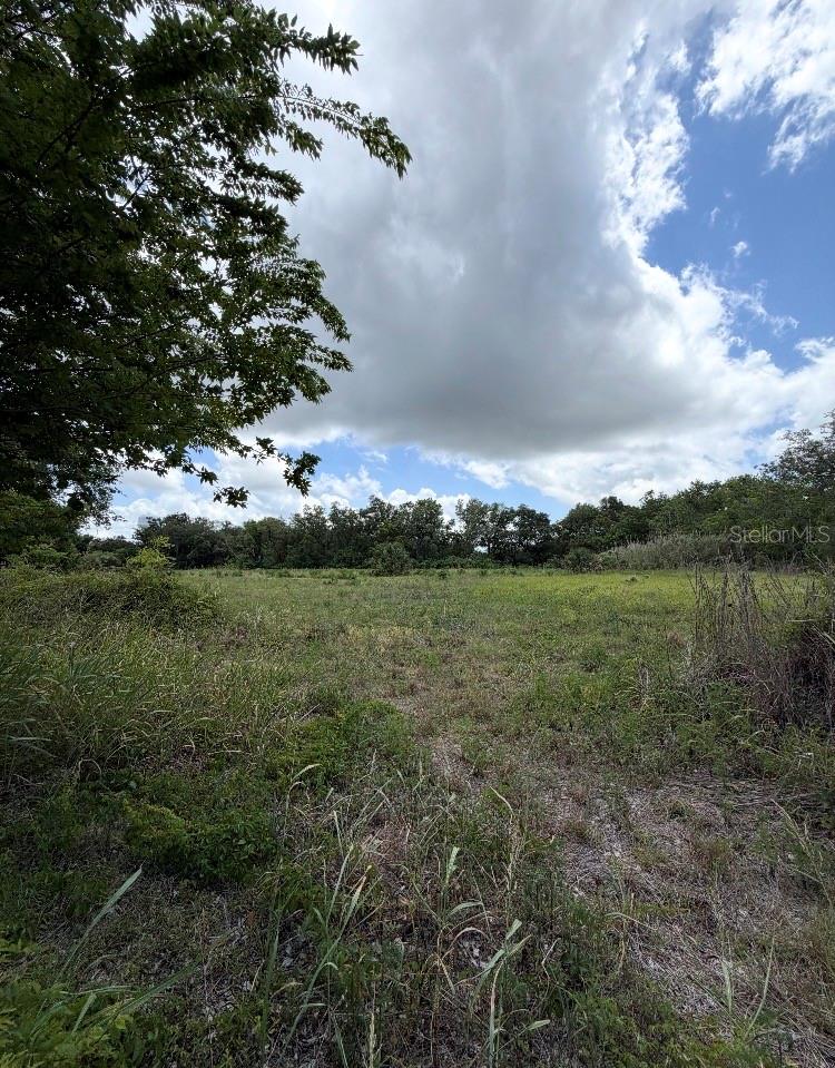 N OAKLAND ST, LEESBURG, FL, 34748