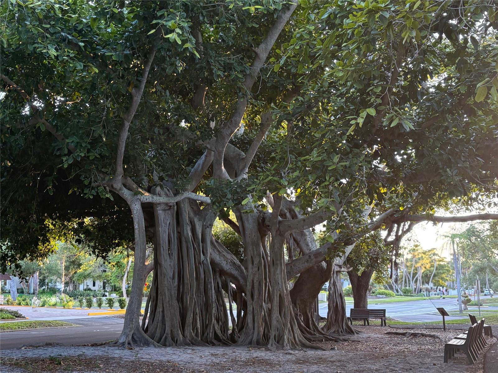 19345 CRUISE DR, VENICE, FL, 34292