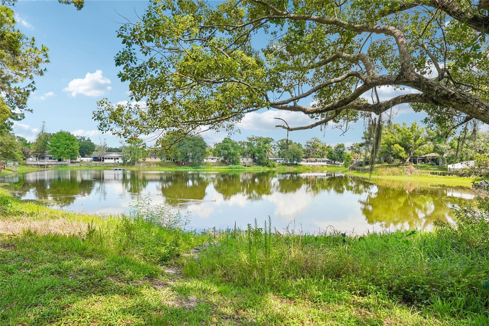 14927 HARDY DR W, TAMPA, FL, 33613