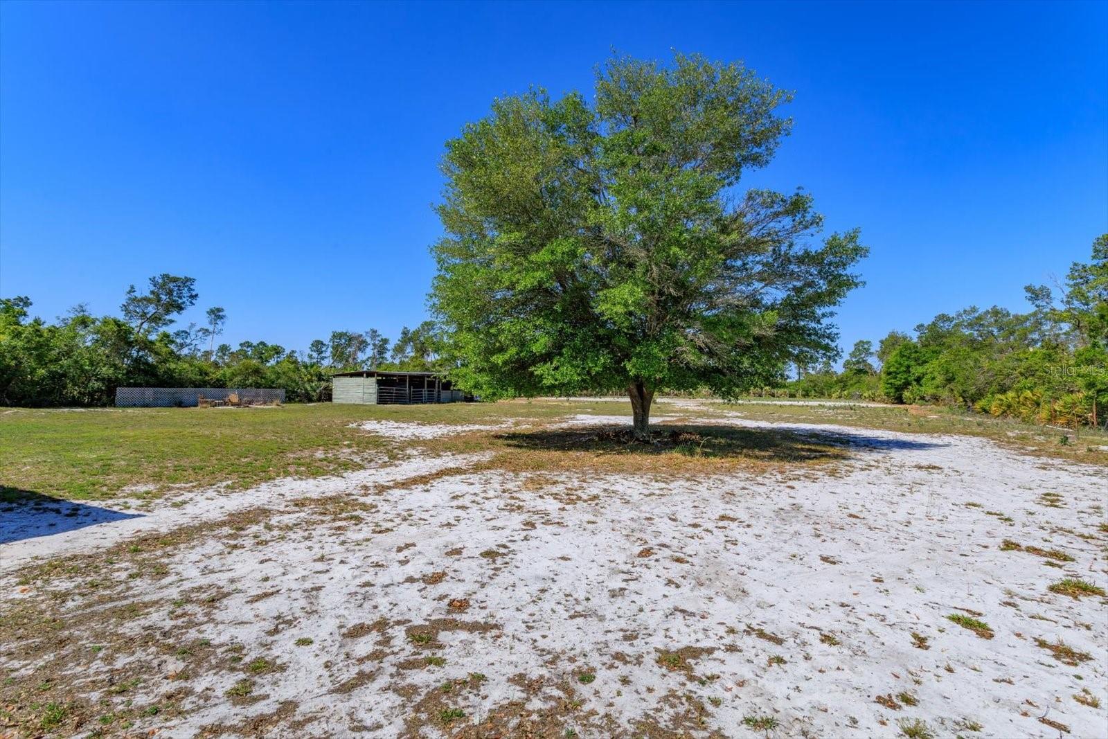 3335 RIVERHEAD DR, DELTONA, FL, 32738