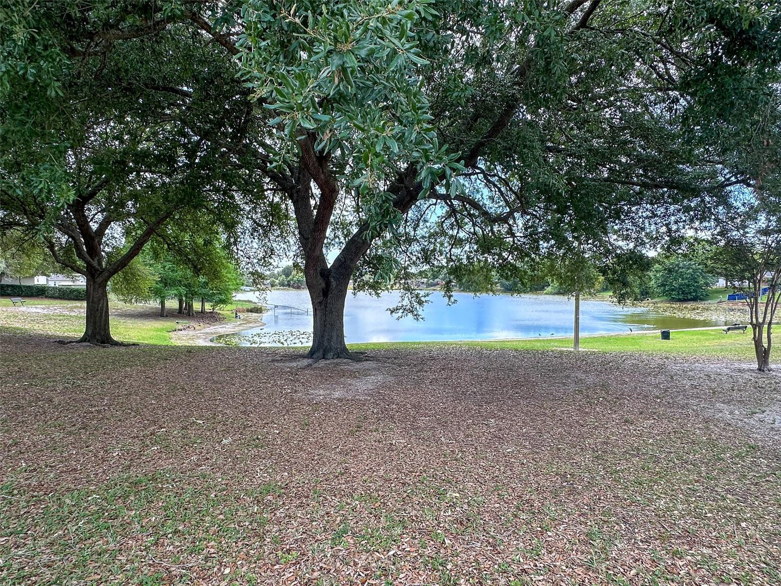 900 JAMELA DR, OCOEE, FL, 34761