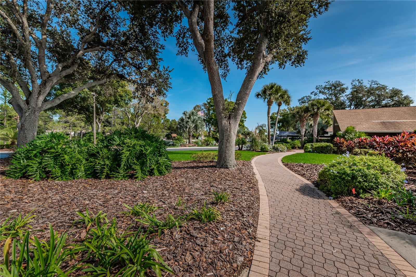 3248 HILARY CIR, PALM HARBOR, FL, 34684