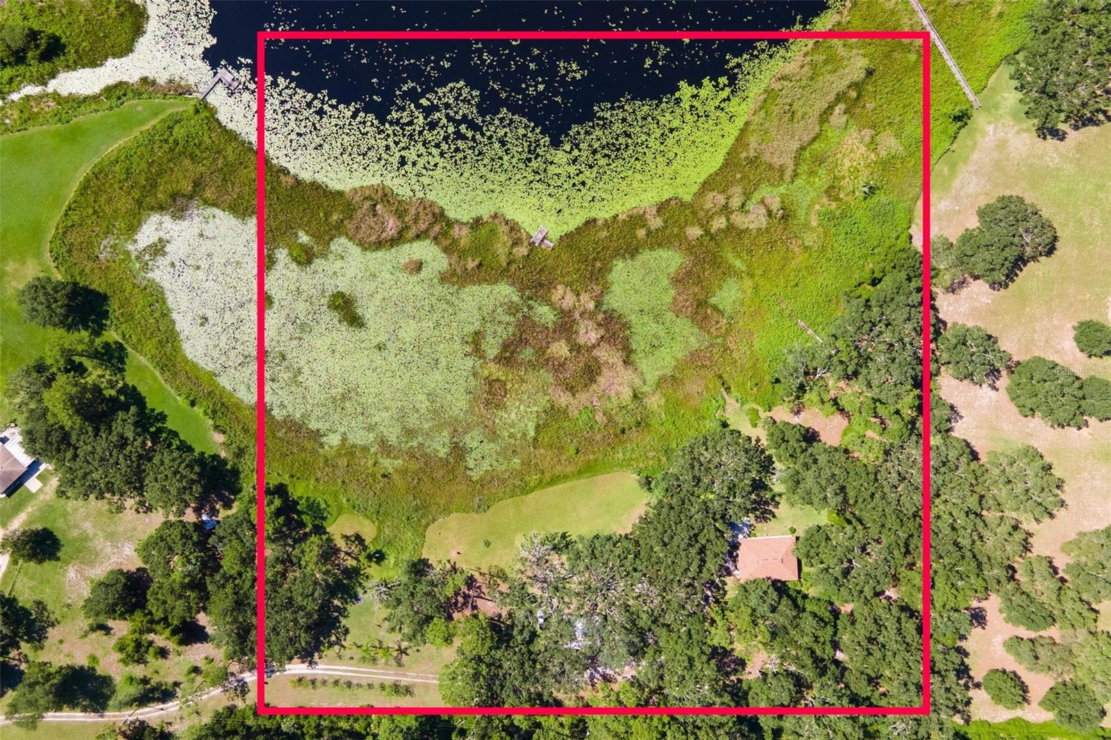 26833 ANDERSON RANCH RD, YALAHA, FL, 34797