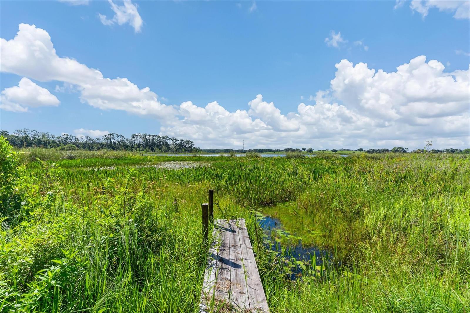 26833 ANDERSON RANCH RD, YALAHA, FL, 34797
