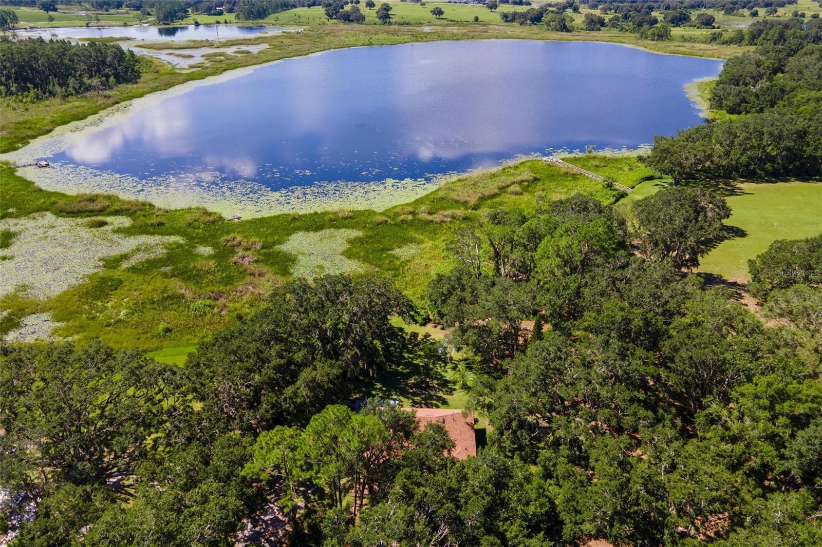 26833 ANDERSON RANCH RD, YALAHA, FL, 34797