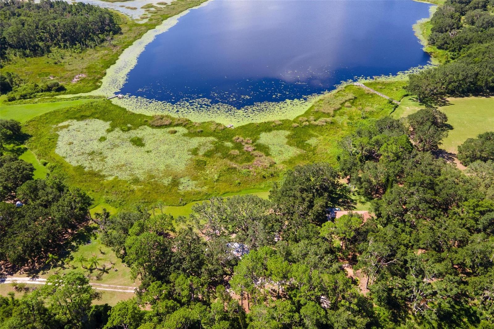 26833 ANDERSON RANCH RD, YALAHA, FL, 34797