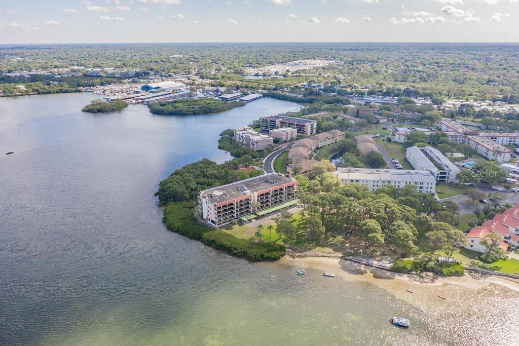 2700 BAYSHORE BLVD #3205, DUNEDIN, FL, 34698