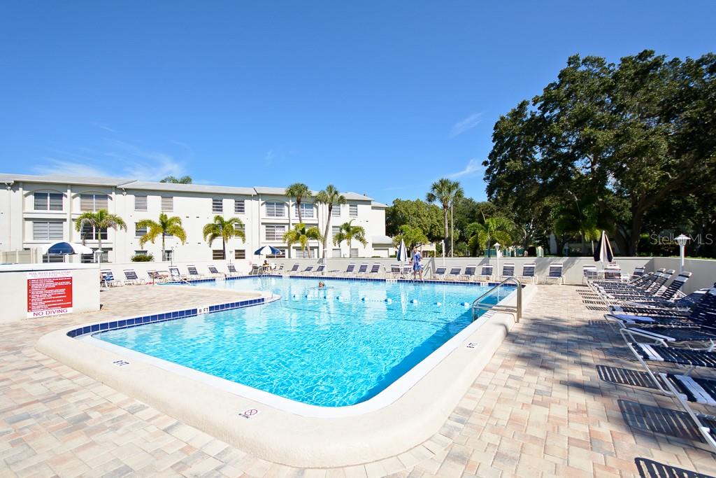 2700 BAYSHORE BLVD #3205, DUNEDIN, FL, 34698