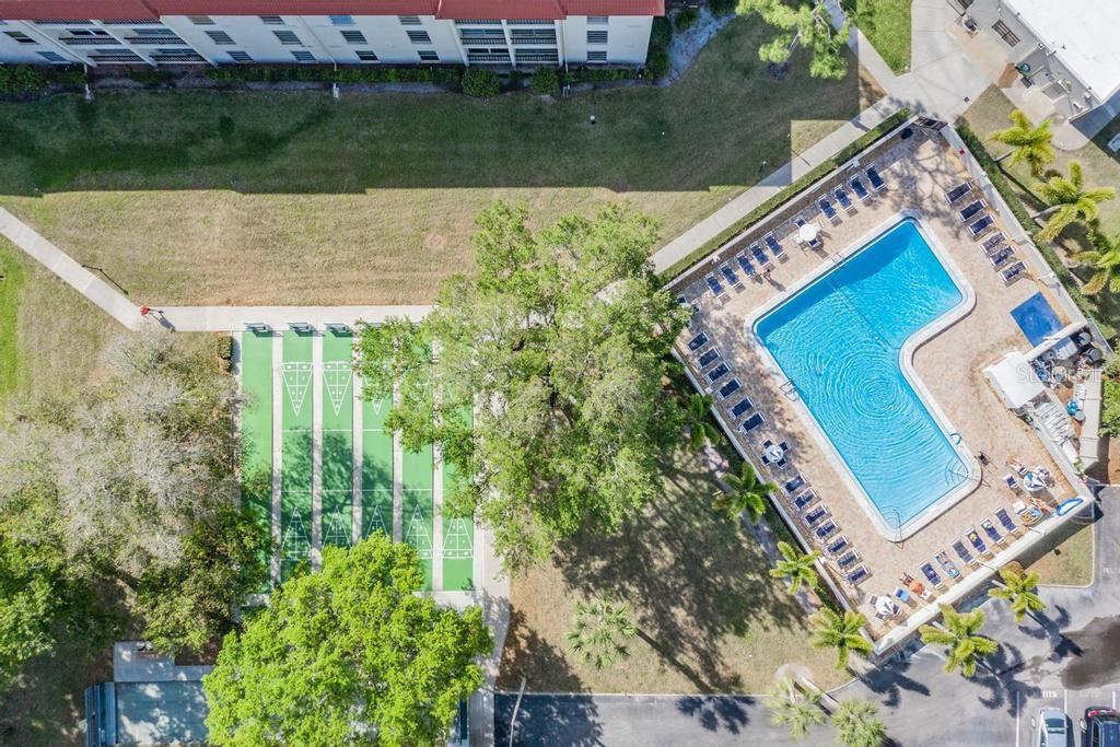 2700 BAYSHORE BLVD #3205, DUNEDIN, FL, 34698