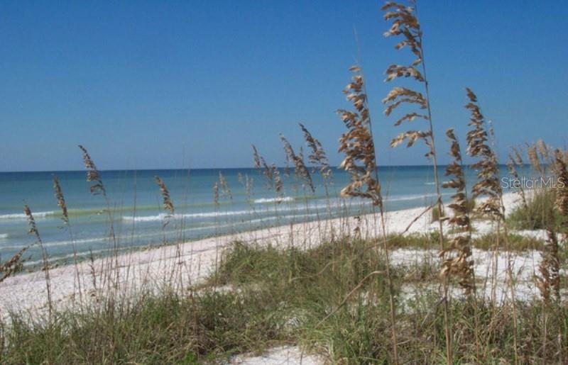 2700 BAYSHORE BLVD #3205, DUNEDIN, FL, 34698