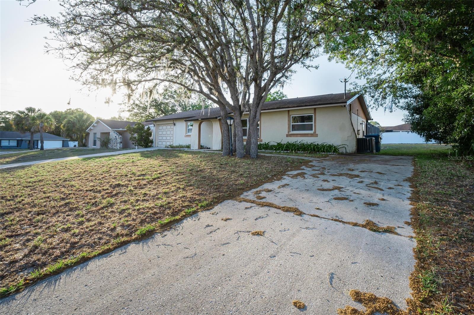 11031 HEATHWOOD AVE, SPRING HILL, FL, 34608