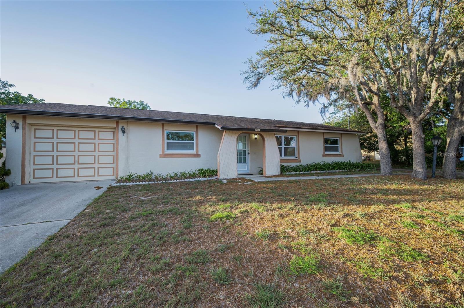 11031 HEATHWOOD AVE, SPRING HILL, FL, 34608