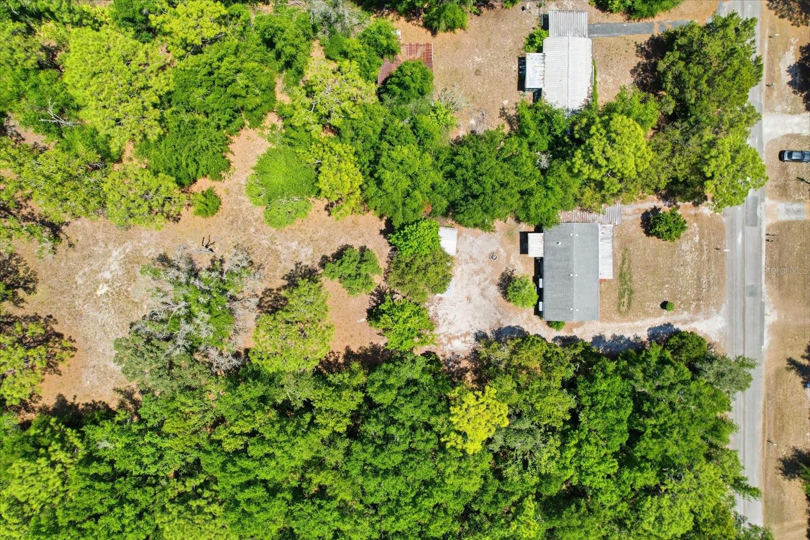 7229 W LINCOLN LN, HOMOSASSA, FL, 34448