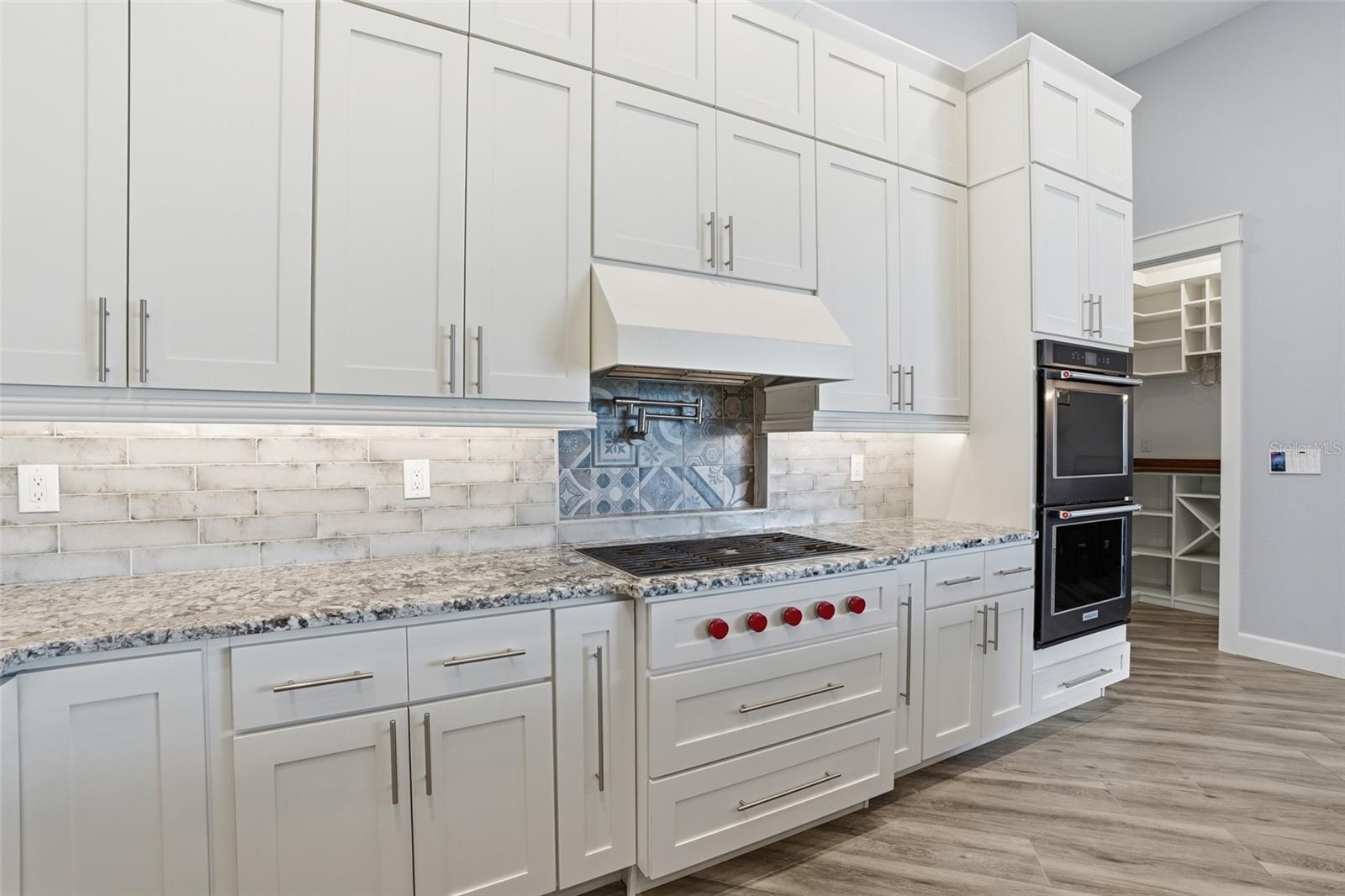 12894 SW PEMBROKE CIR S, LAKE SUZY, FL, 34269