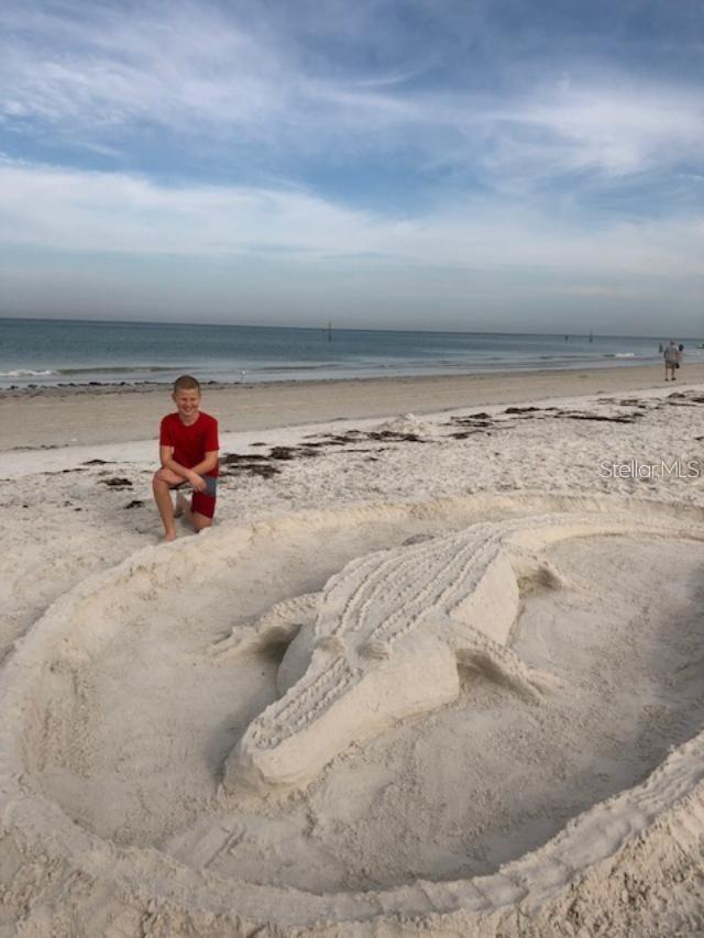 2291 SHELLY DRIVE DR #D, PALM HARBOR, FL, 34684