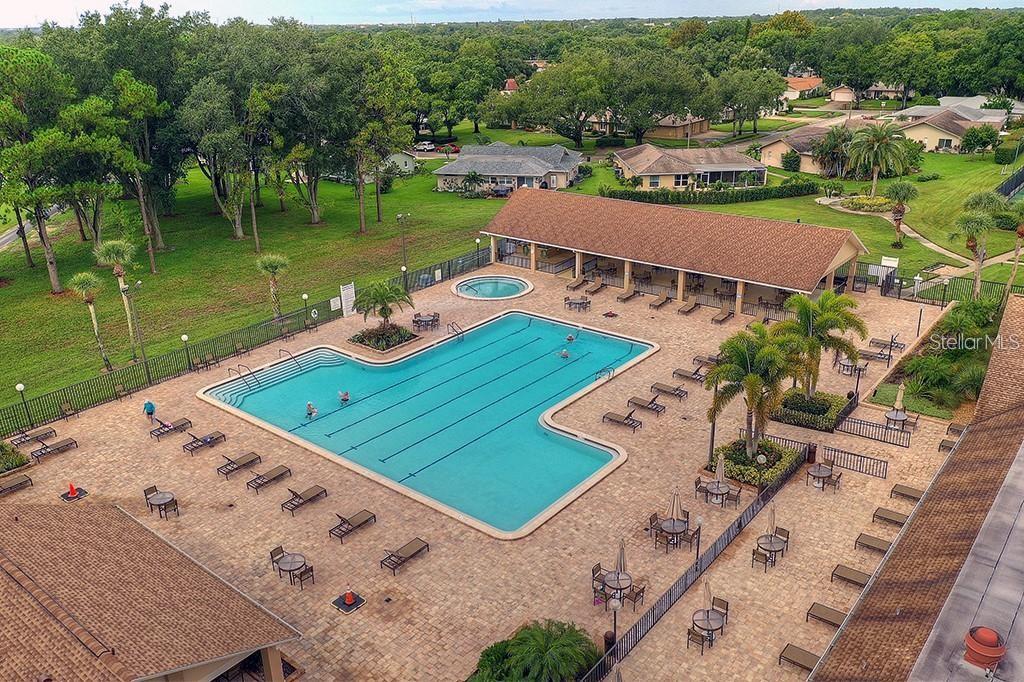 2291 SHELLY DRIVE DR #D, PALM HARBOR, FL, 34684